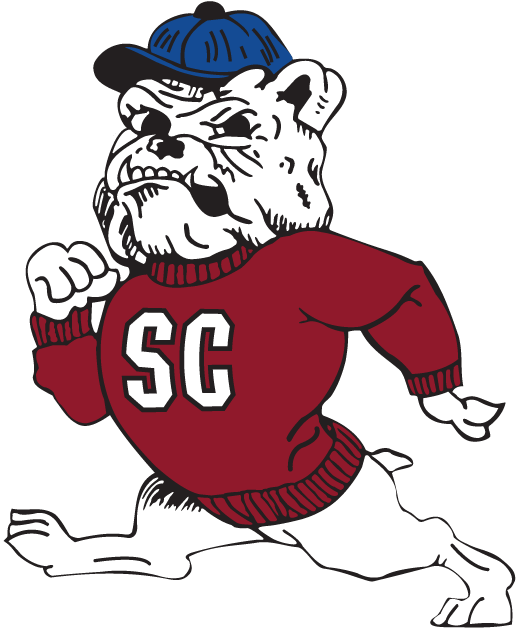 South Carolina State Bulldogs 2002-Pres Secondary Logo diy fabric transfers